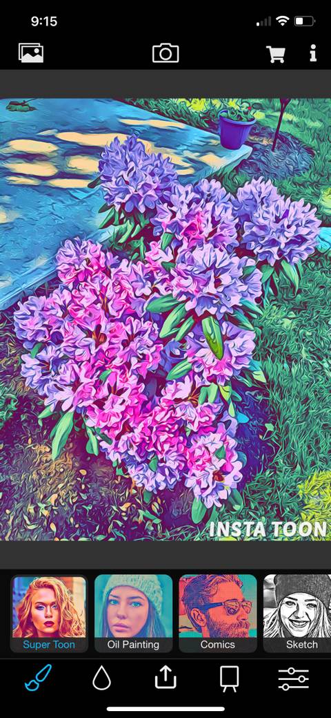 6 برنامه رایگان برای تبدیل عکس به آثار هنری و نقاشی 16 Instatoon Art.jpg?q=50&fit=crop&w=480&dpr=1 -