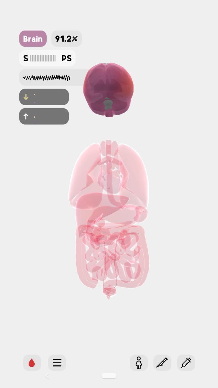 Screenshot of LIFE App - Brain diagram