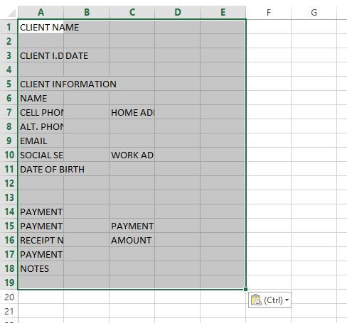 Screenshot of the Pasted Word Form into Excel