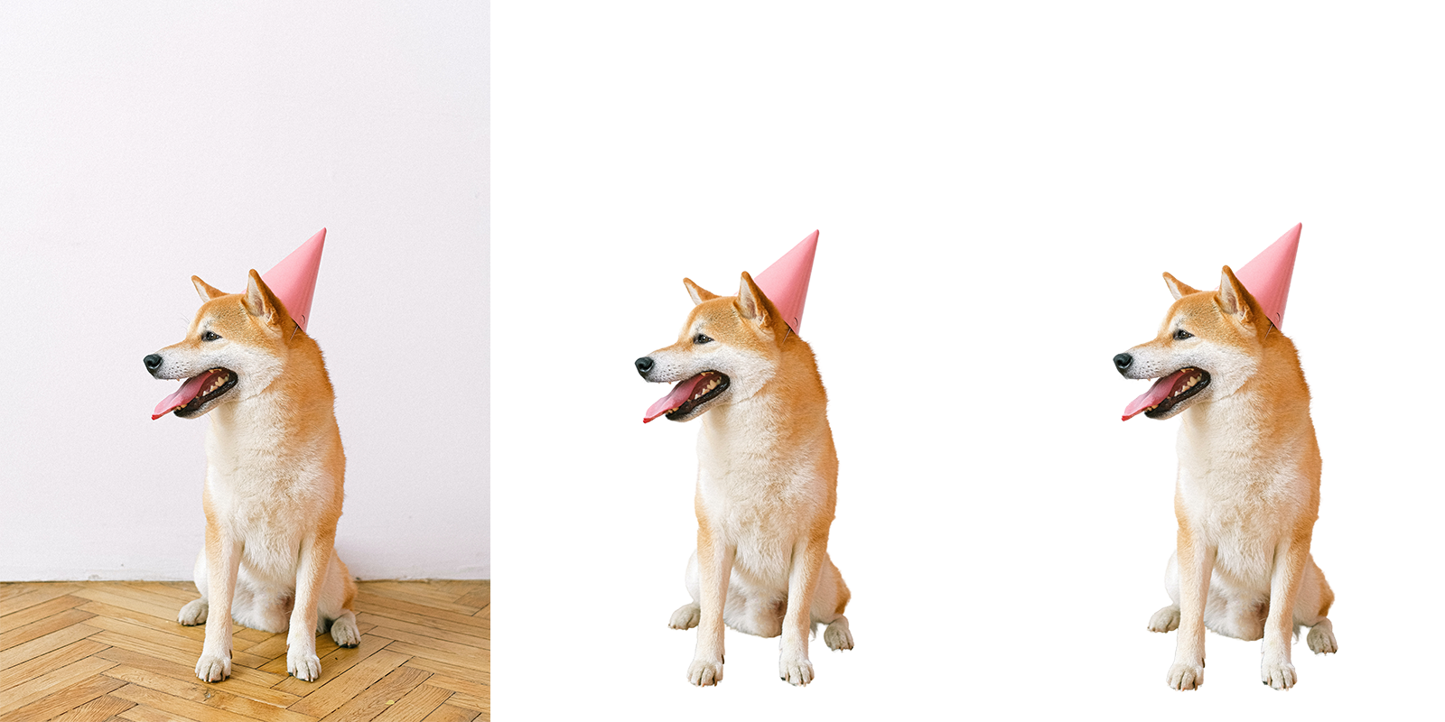 So machen Sie den Hintergrund eines PNG transparent - Shiba Inu in different backgrounds