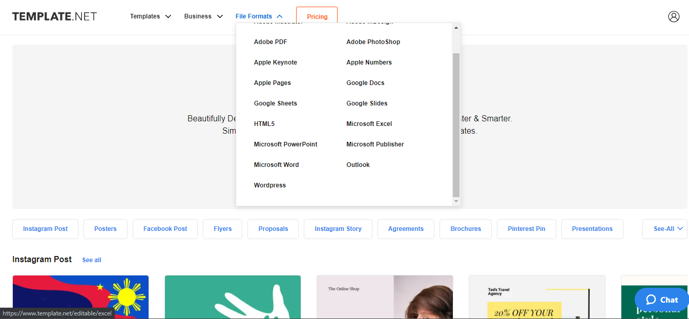 Template.net Website File Formats Dropdown