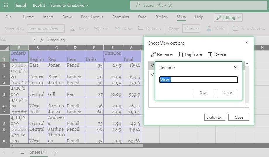Rename-Excel-spreadsheet-temporary-view1