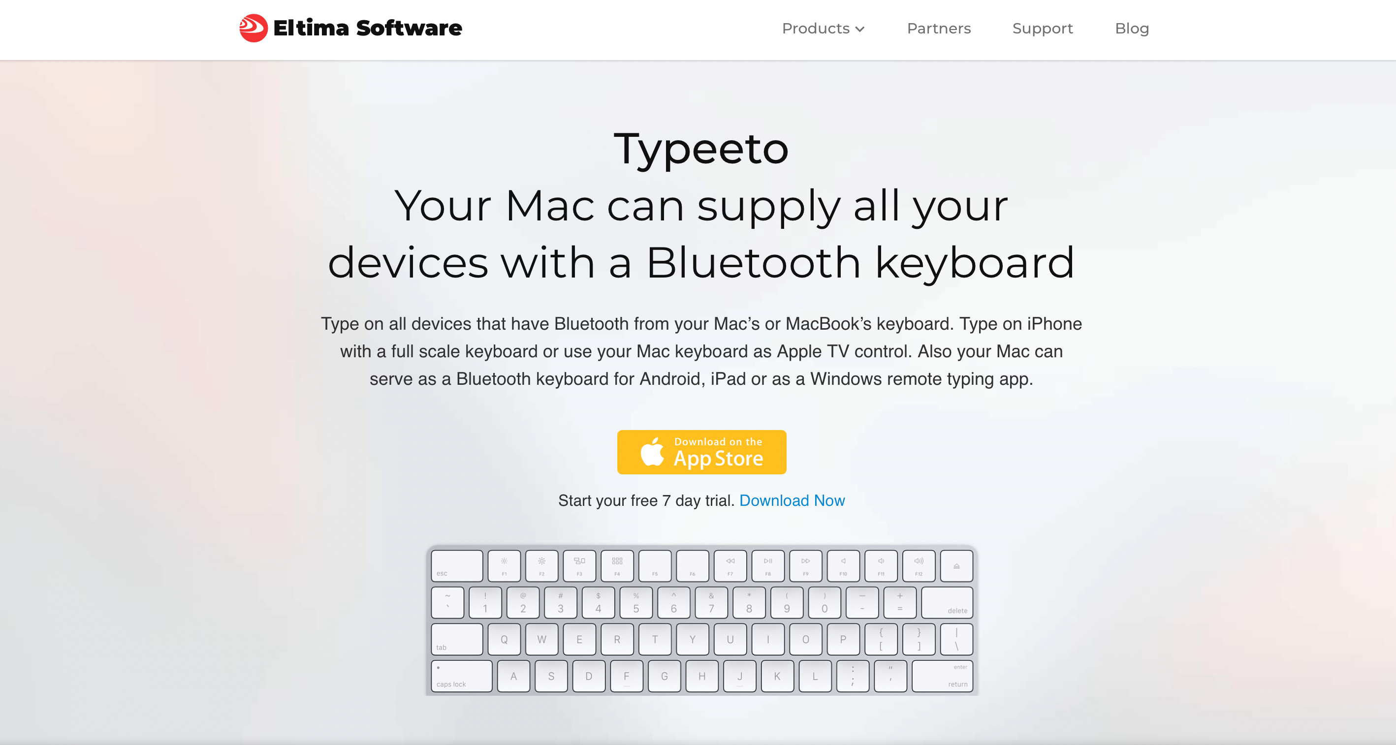 Typeeto Website Homepage