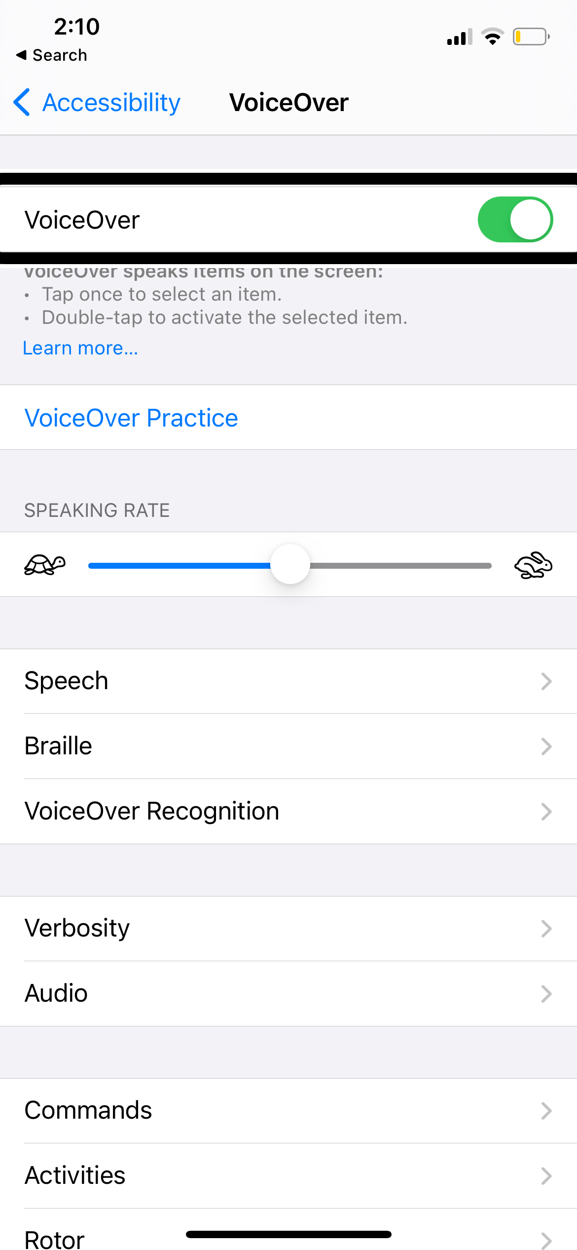Voice Over iPhone Options