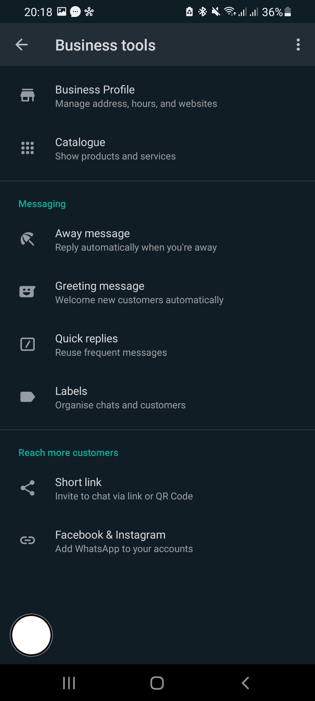 Screenshot of the WhatsApp Business interface