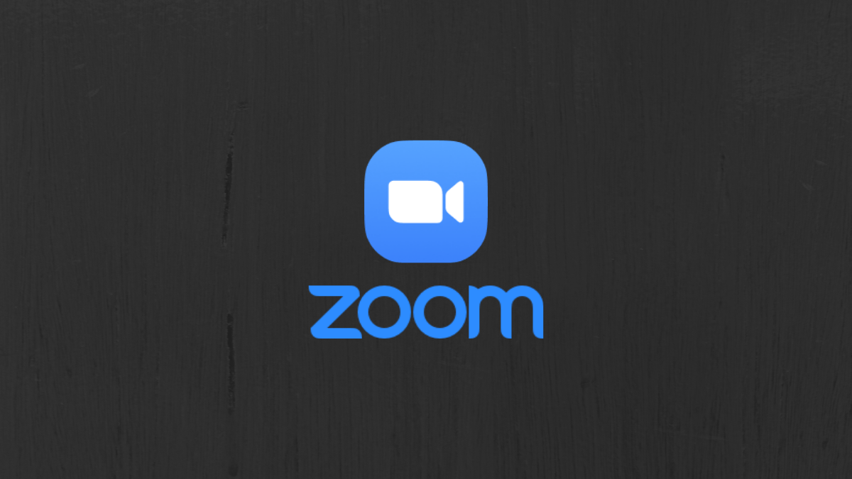 Zoom Logo