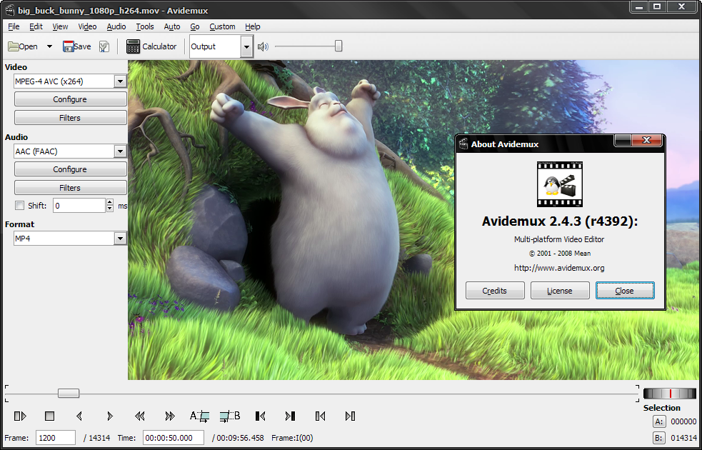 Avidemux video editing tool