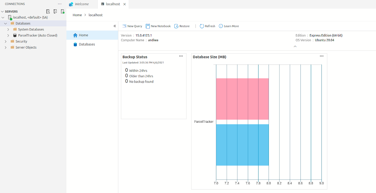 So installieren und konfigurieren Sie Microsoft SQL Server unter Ubuntu - azure data studio databases