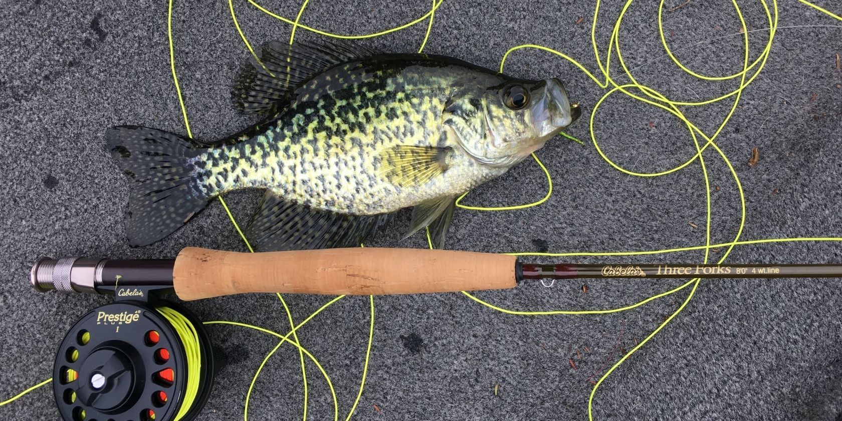 The 7 Best Fishing Apps for Android and iPhone