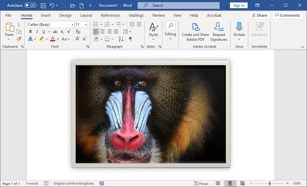 How To Add Borders To Photos 10 Easy Methods