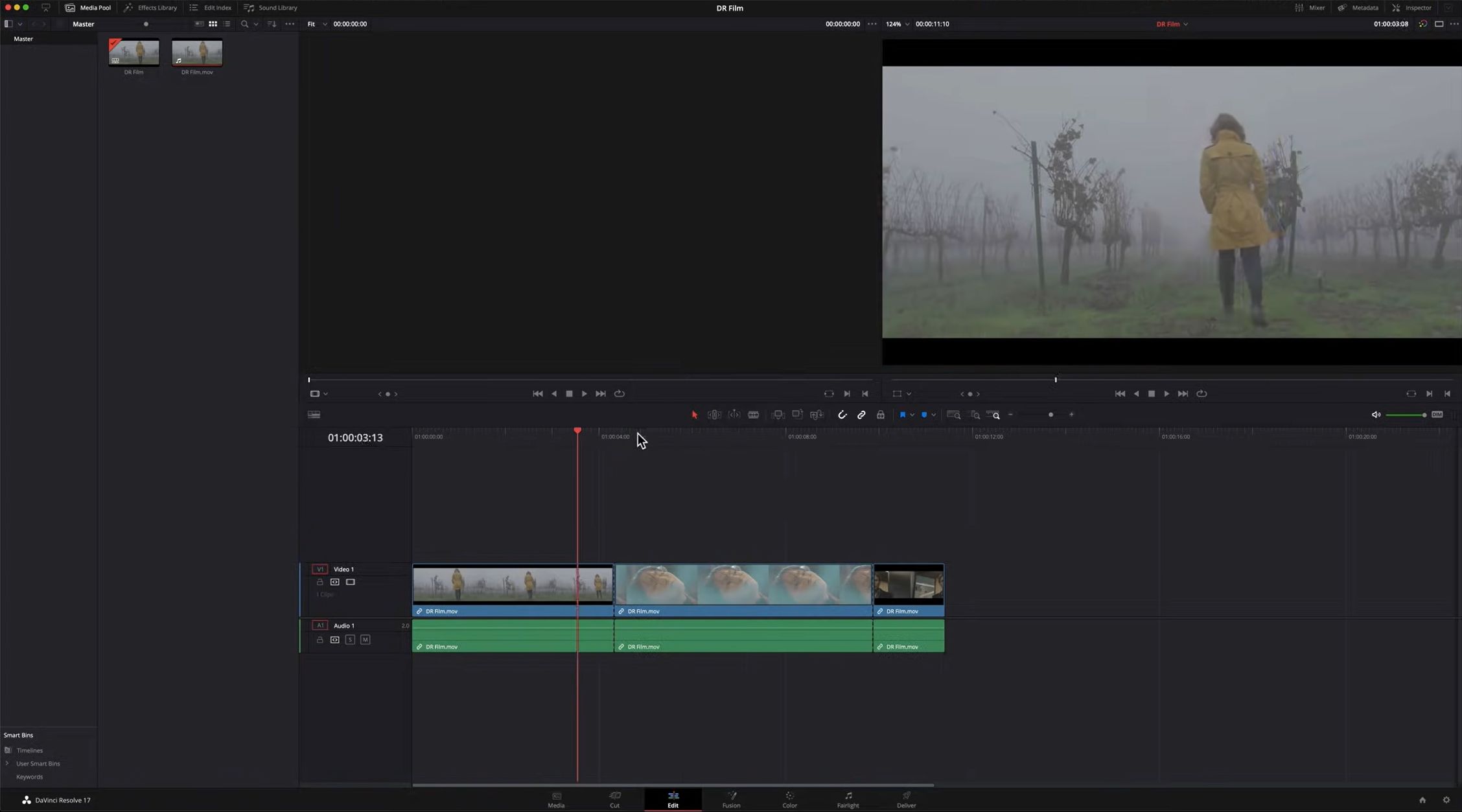 DaVinci Resolve video editor