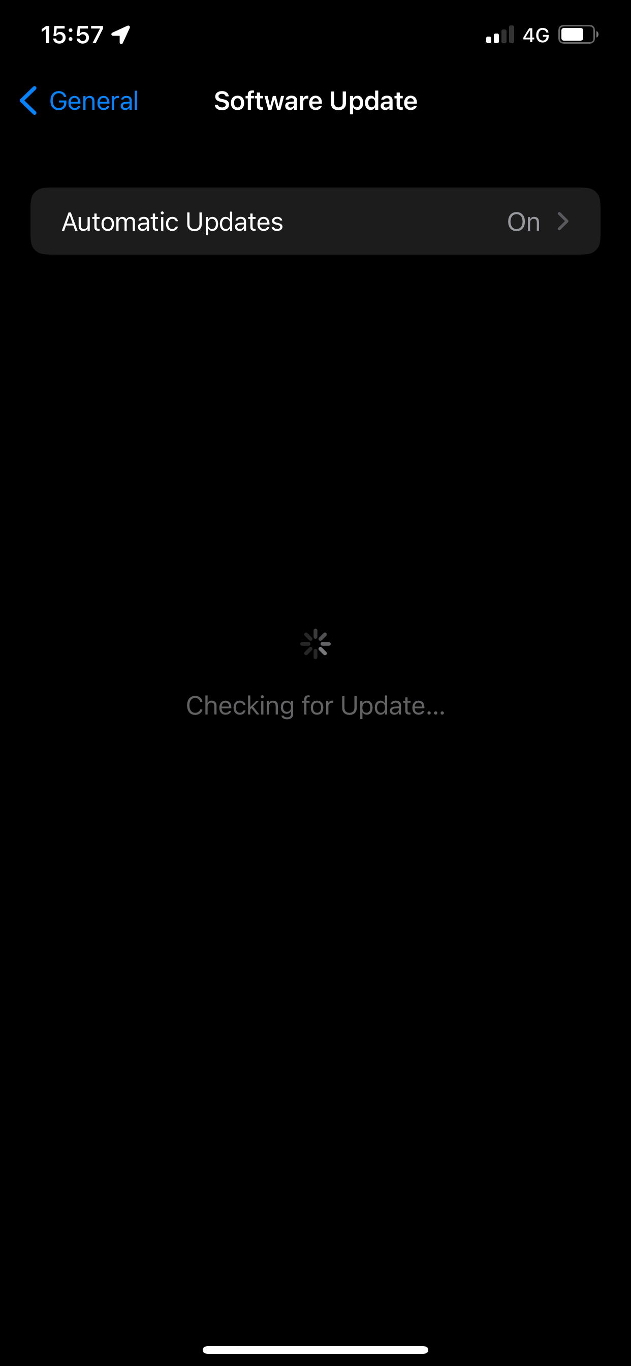 Screenshot of an iPhone checking for a software update.