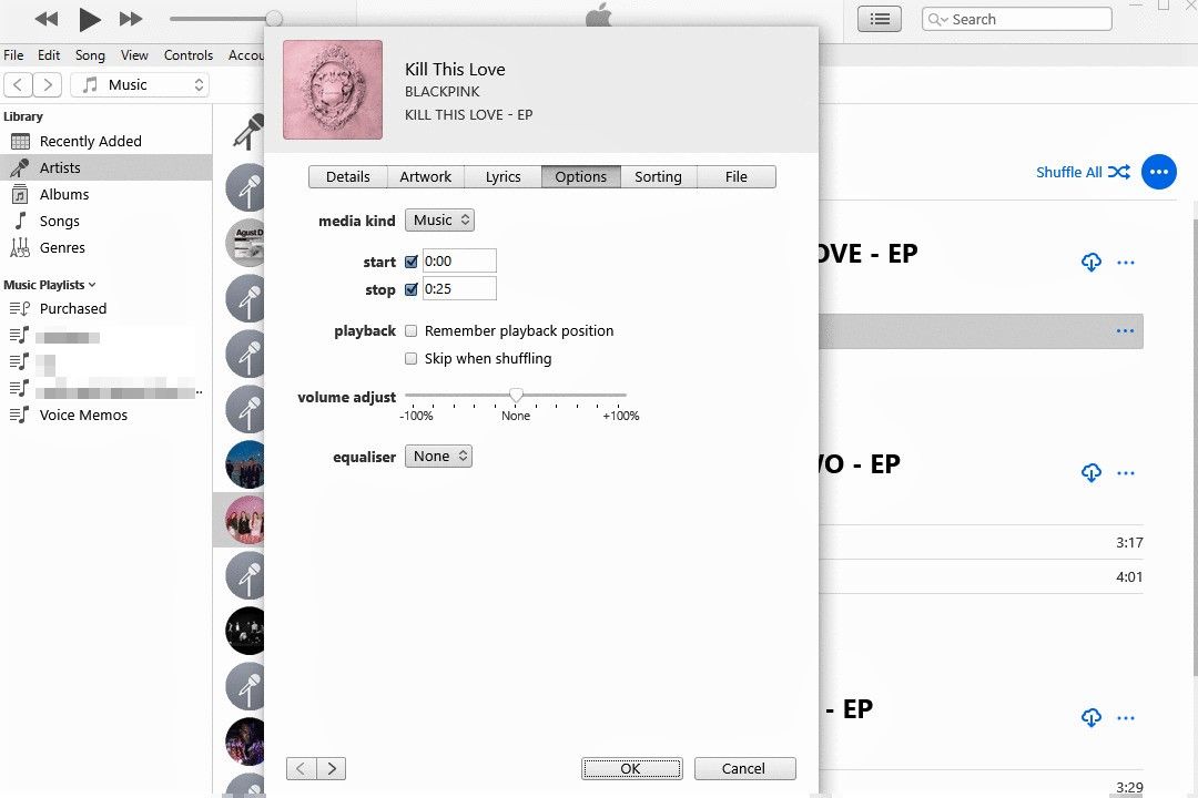 iTunes Song Info Options