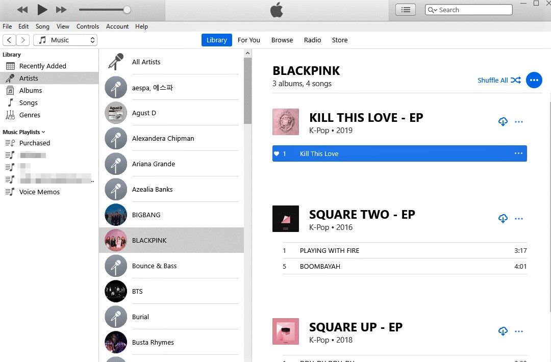 iTunes Song Library