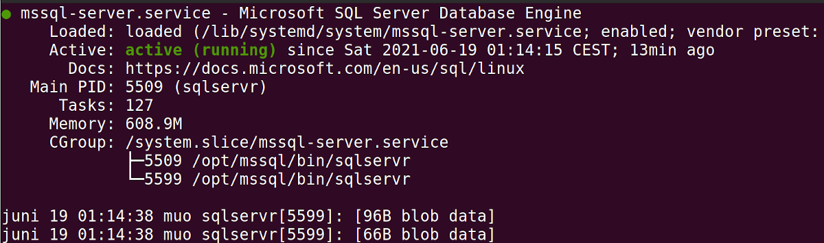 So installieren und konfigurieren Sie Microsoft SQL Server unter Ubuntu - mssql server service engine