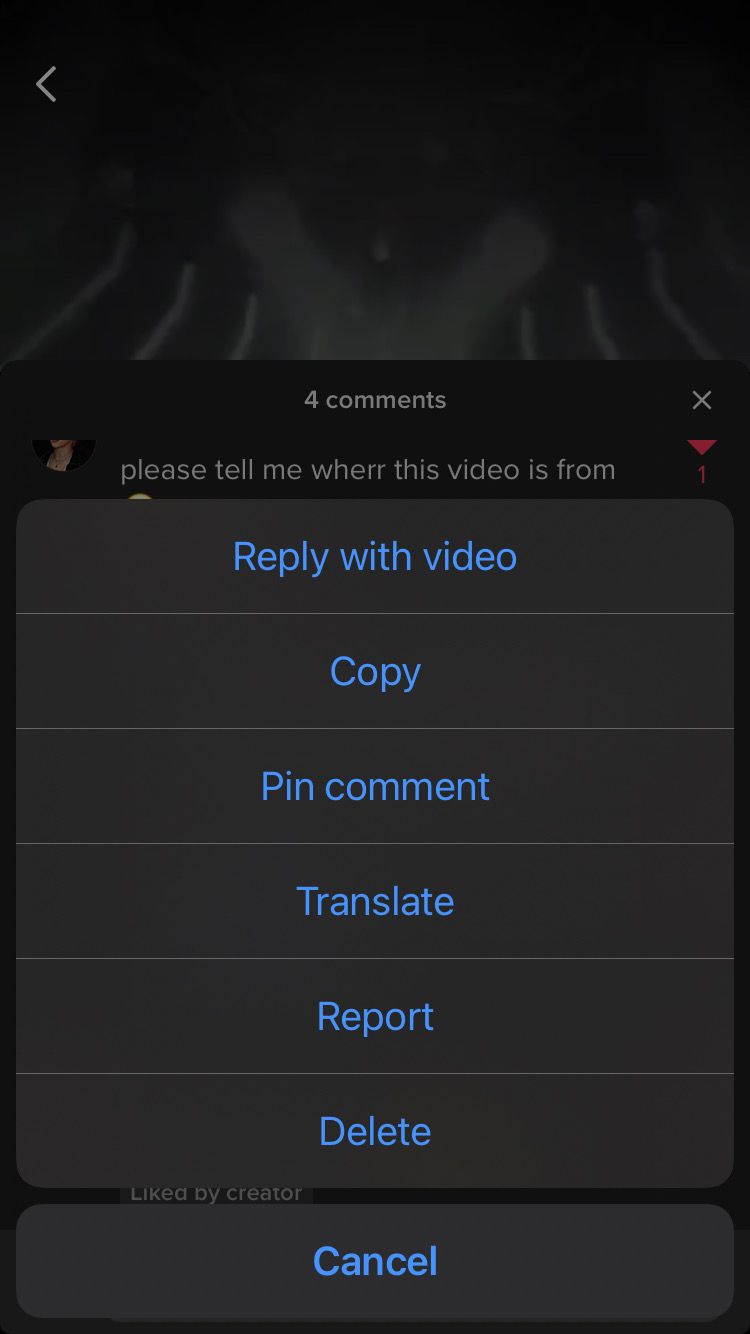 Screenshot showing different comment actions for TikTok