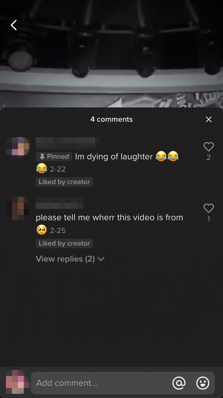 Screenshot showing pinned comment on TikTok