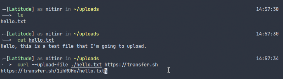 Uploading a file via transfer.sh