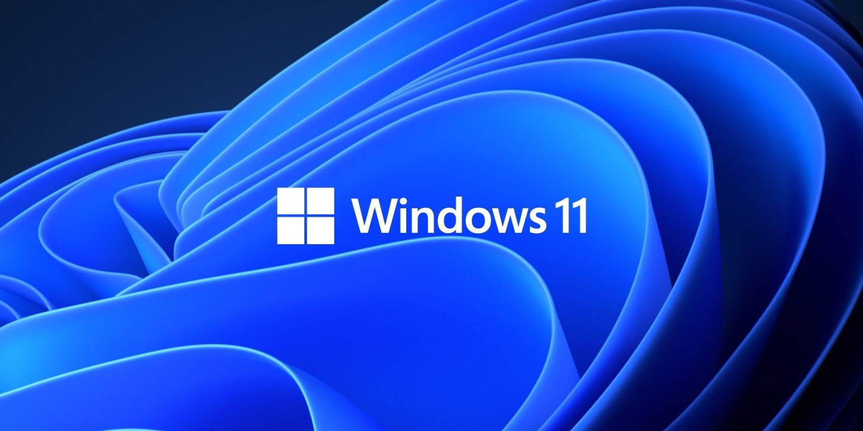 windows 11 logo feature