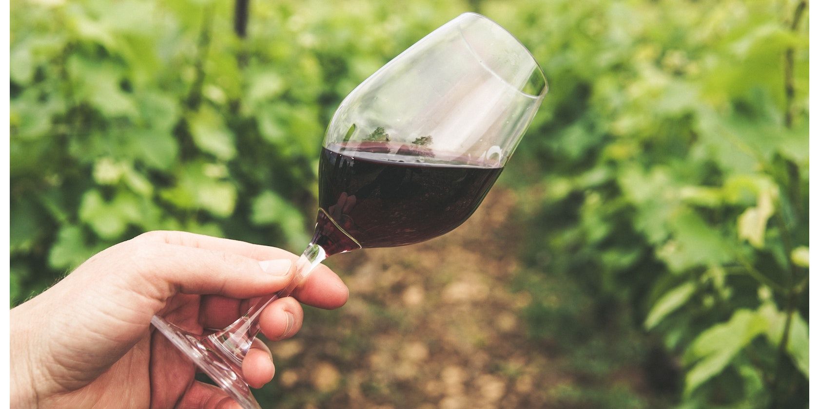 Swirling wine in glass