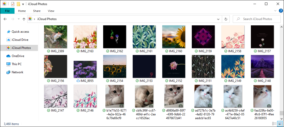 iCloud Photos on File Explorer.