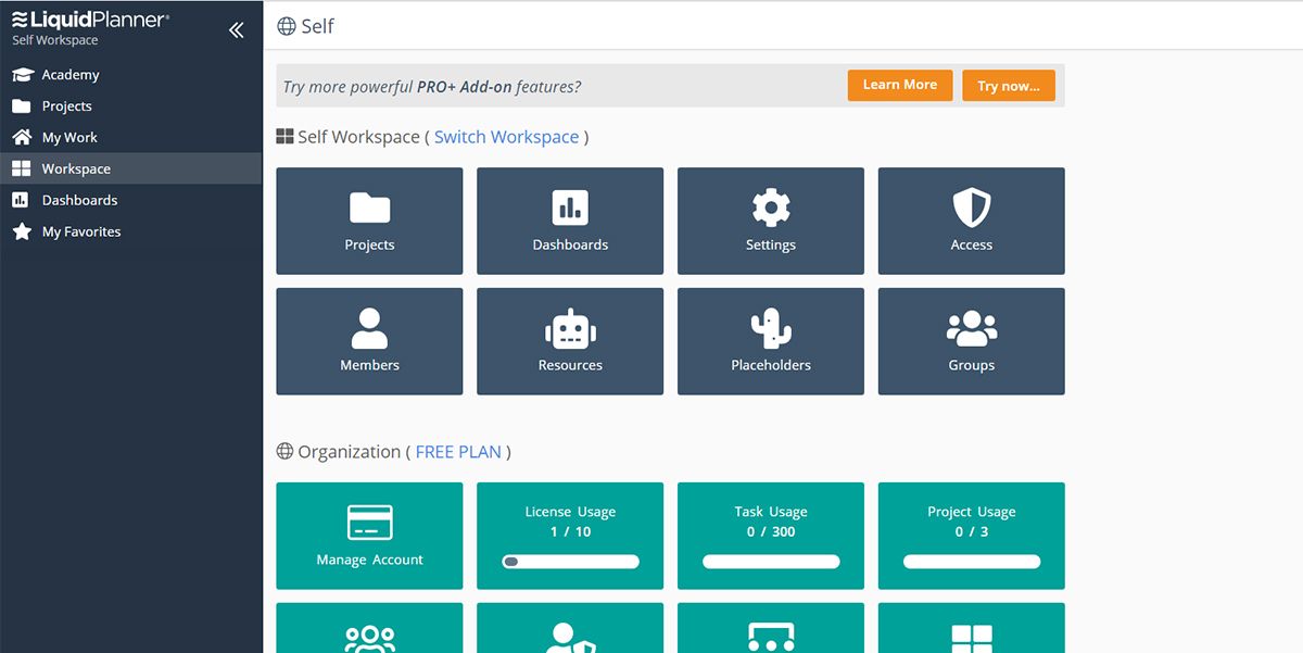 LiquidPlanner Workspace display