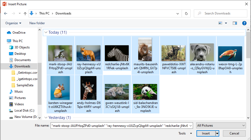 Animal images saved in a PC