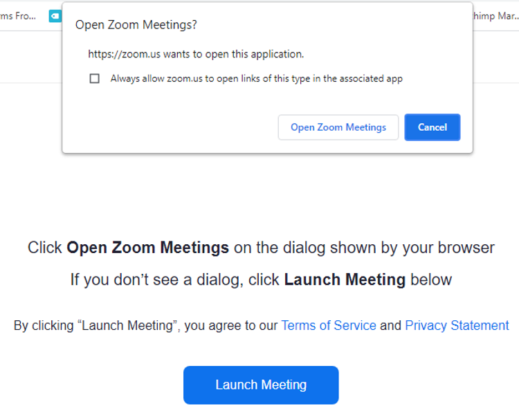 Open Zoom Meeting dialog box