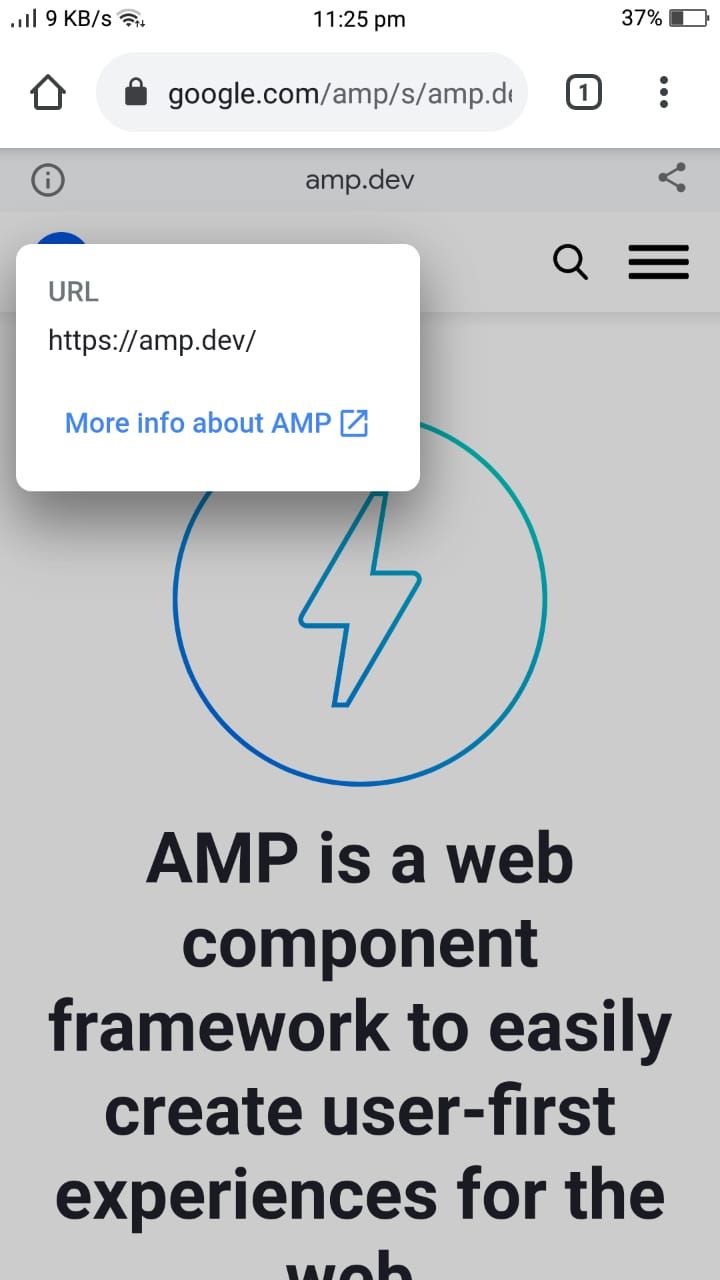 Option You Get by Tapping the i on an AMP Site