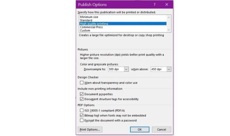 Options dialogue page on Microsoft Publisher
