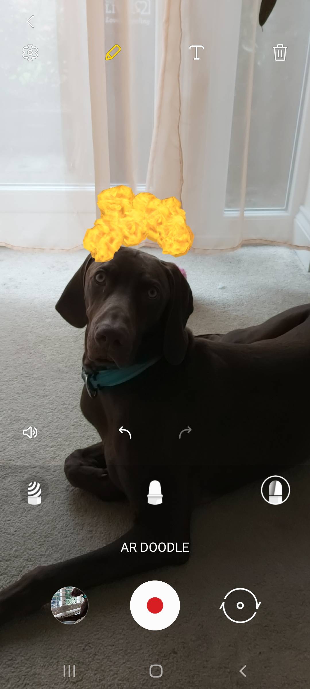 Ar Zone App S9 - Everything About The Ar Zone App Functions Features