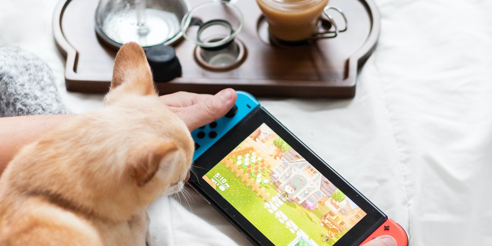 Switch-With-Cat-1