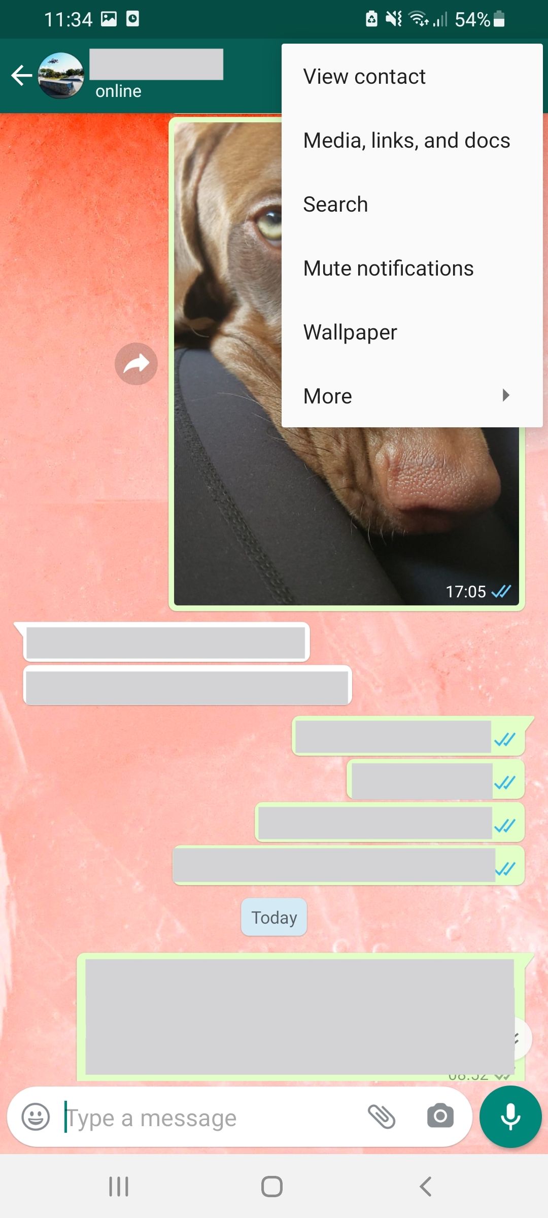 WhatsApp in chat search for text