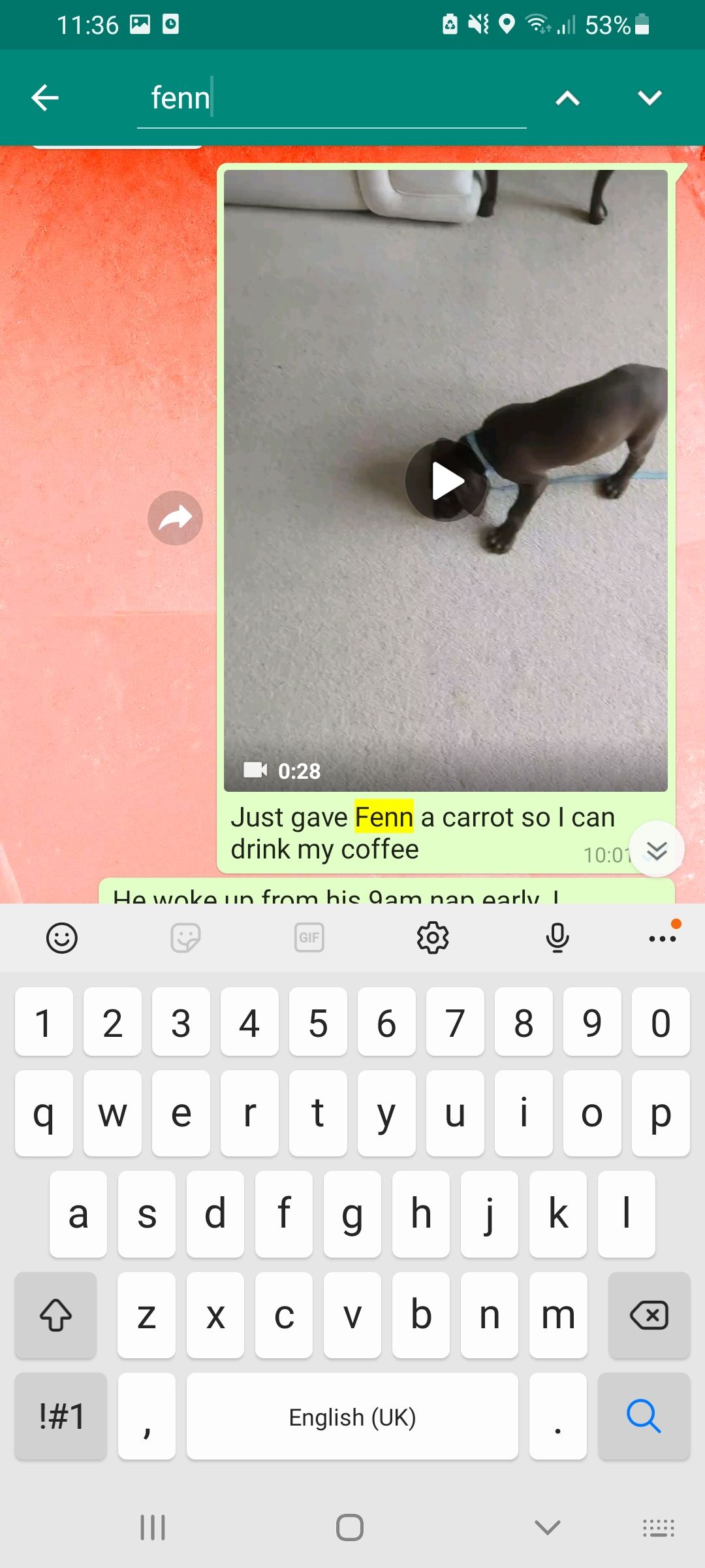 WhatsApp in chat search text