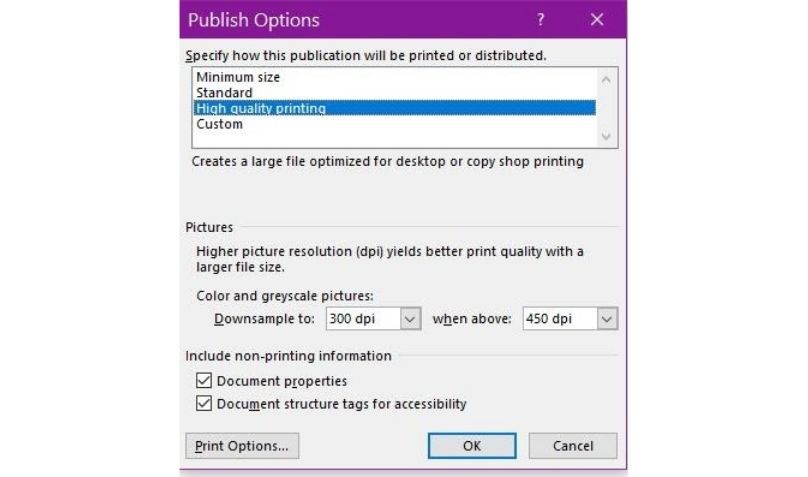 Print options dialogue box on Microsoft Publisher