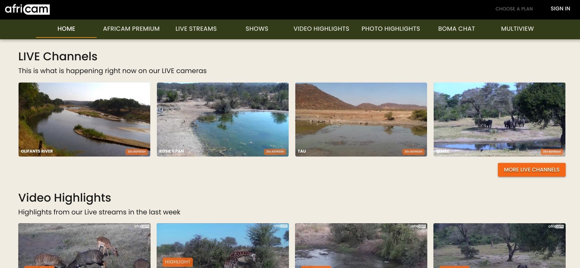 africam website screenshot
