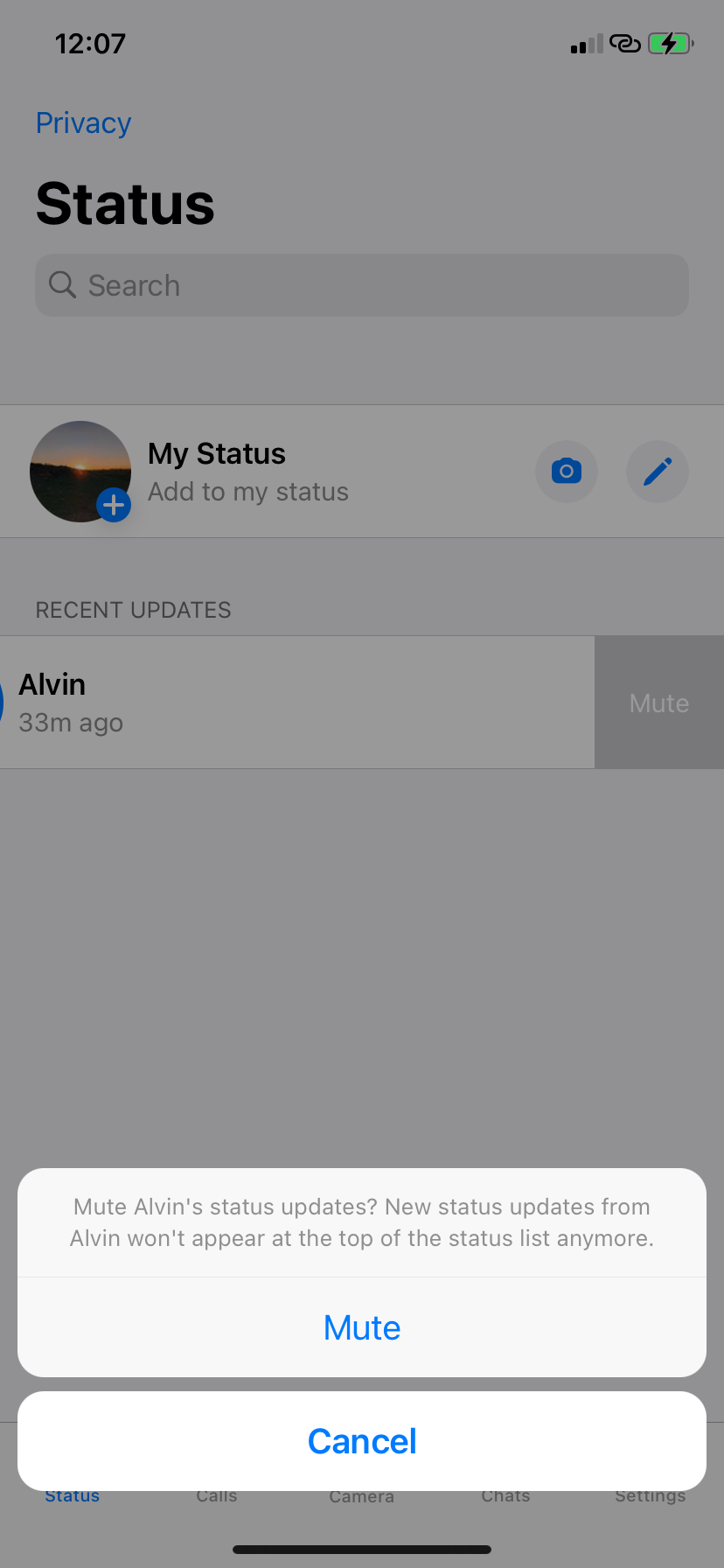 Disattiva pop-up di stato WhatsApp per iOS