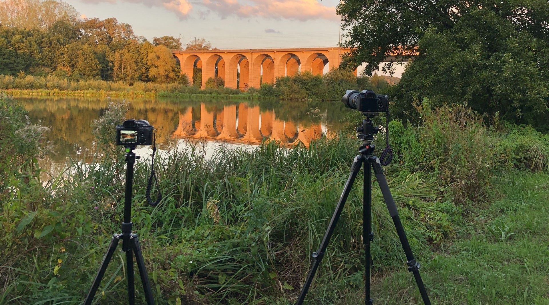 Camera on tripod in grass