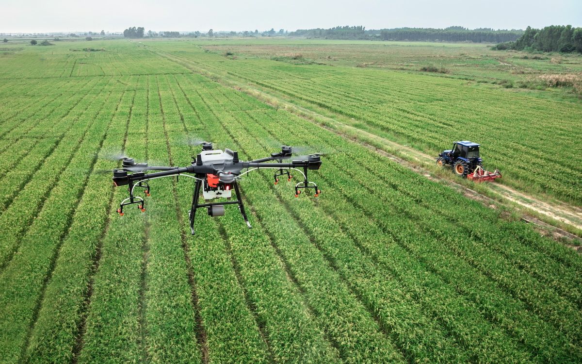 drone monitoring crops