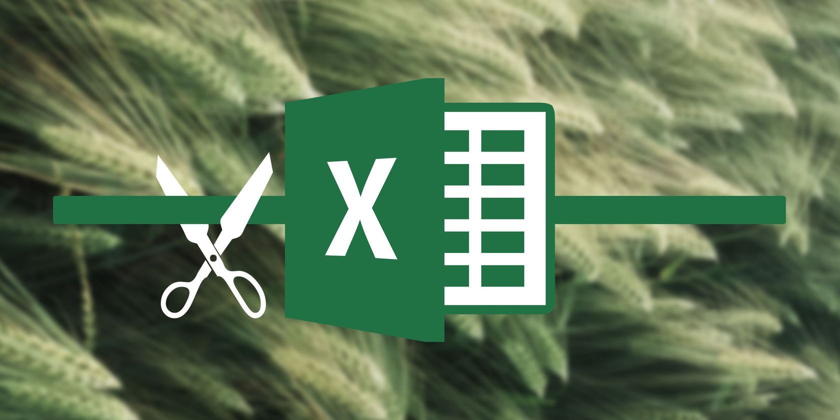 The TRIM function in Excel
