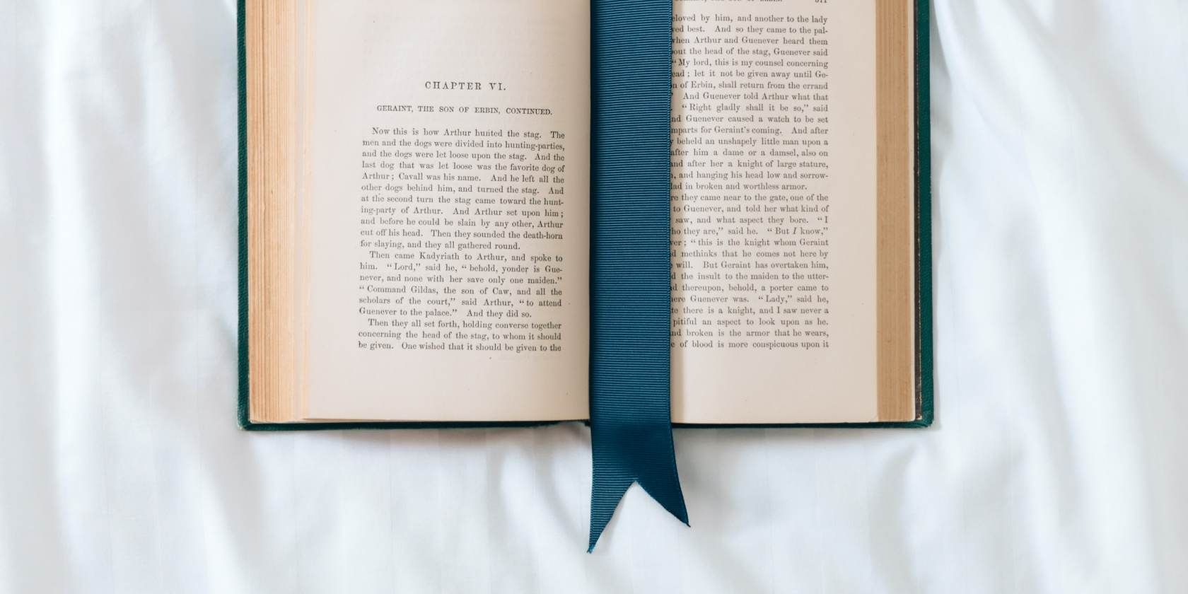 Bookmarked book