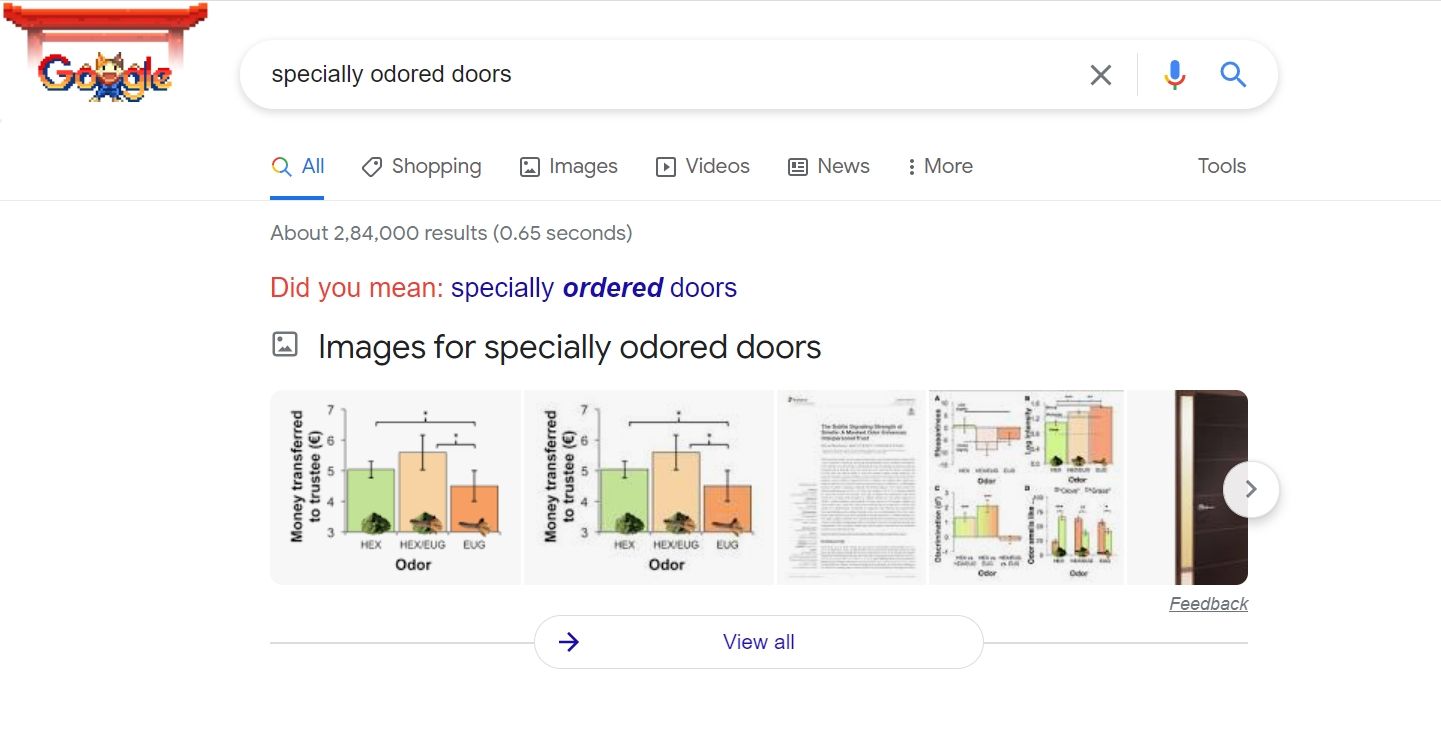 Google spell checks odored doors.