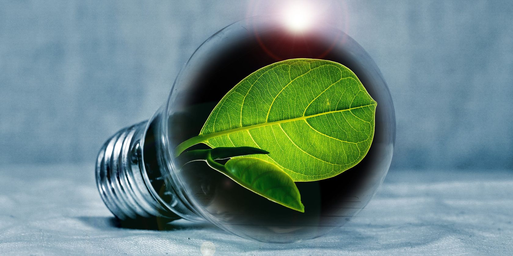 green-leaf-in-eco-friendly-lightbulb[1]