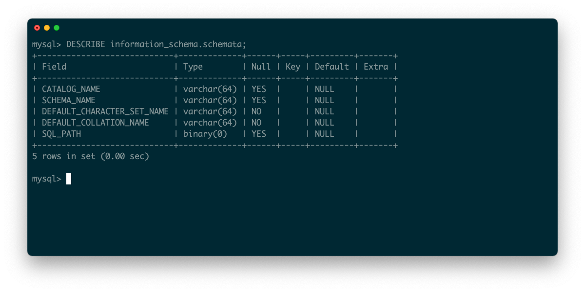 A screenshot of a terminal showing the results of a DESCRIBE MySQL command on the system schemata table