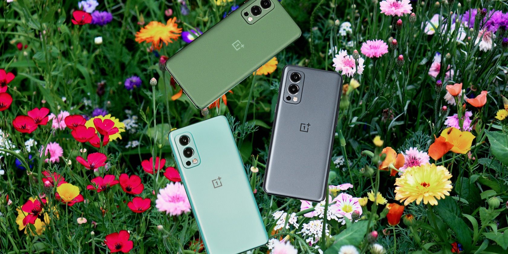 OnePlus Nord 2 colors