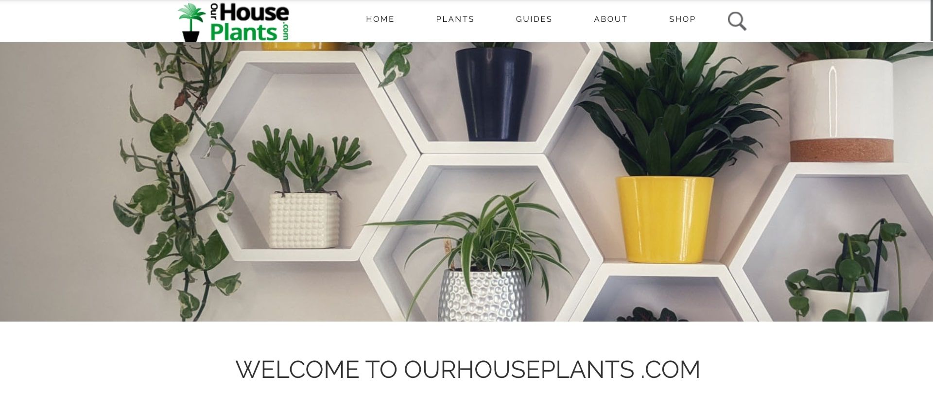 ourhouseplants scrnsht - 5 siti che possono aiutarti con la cura delle piante d’appartamento
