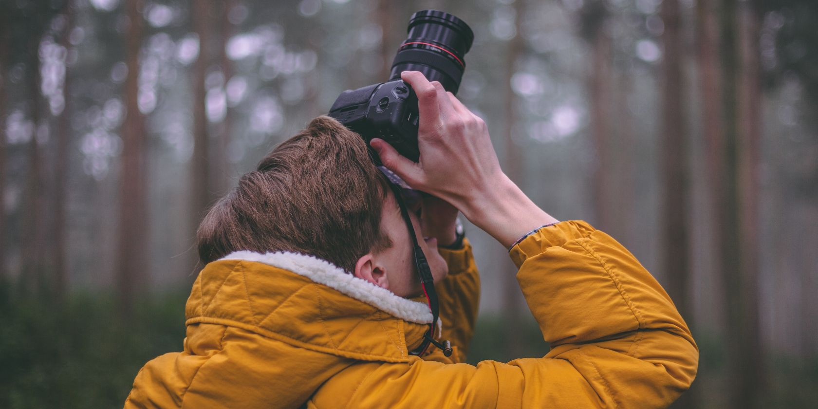 Photo of a person taking pictures in a forest
