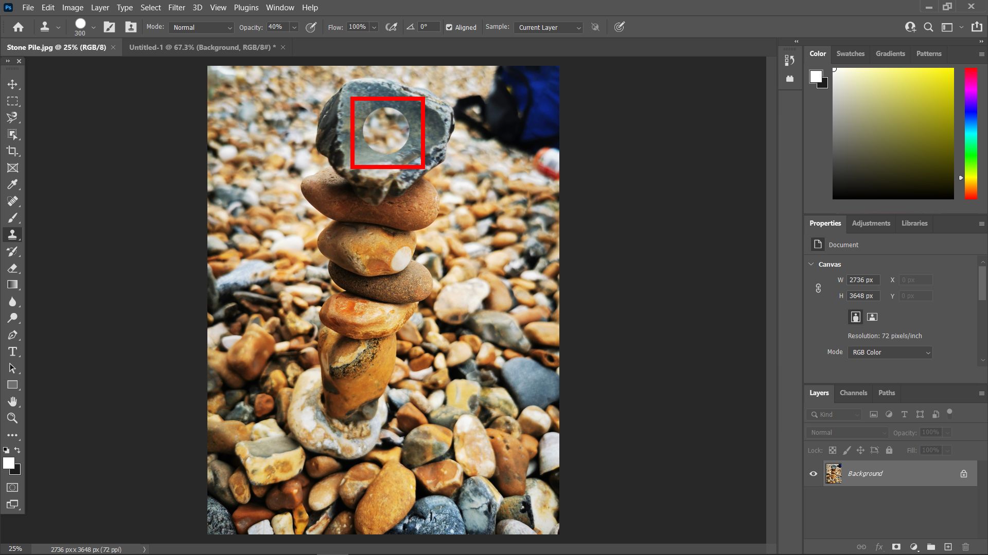 photoshop clone stamp cloned image