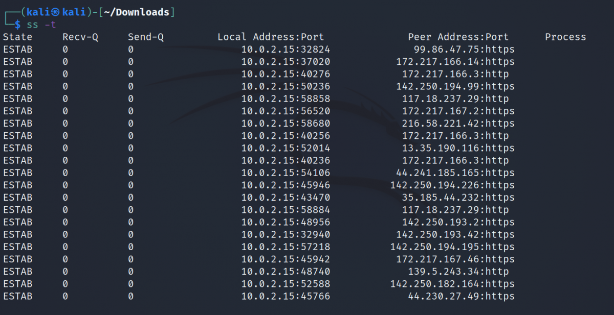 How To Monitor Network Connections On Linux With Ss