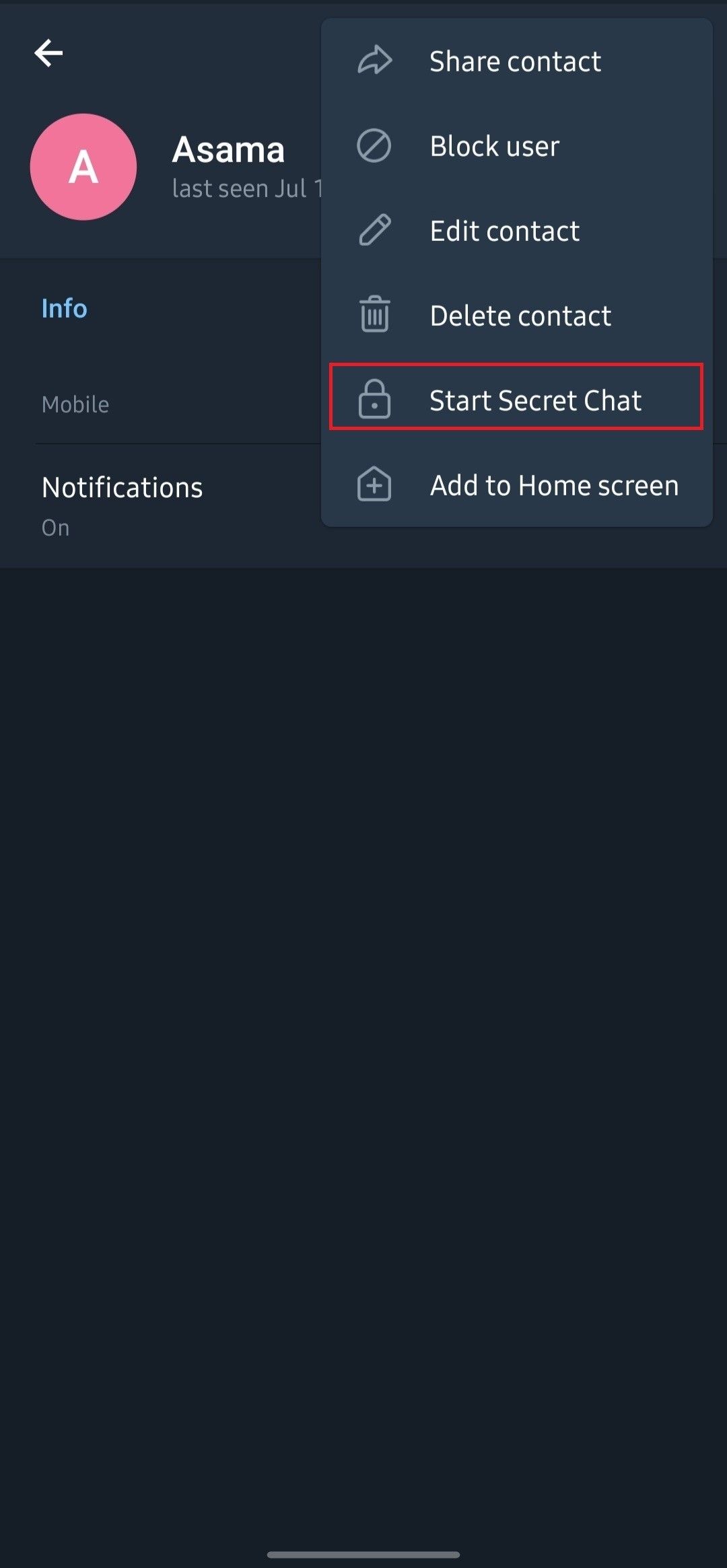 How To Enable Secret Chats And Self Destructing Messages On Telegram how-to-start-a-secret-chat-on-telegram-on-the-iphone-youtube